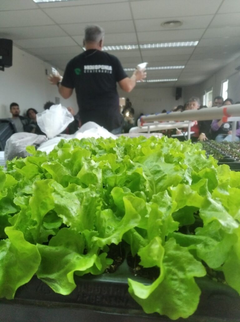Taller  “El ABC de la Hidroponía productiva”