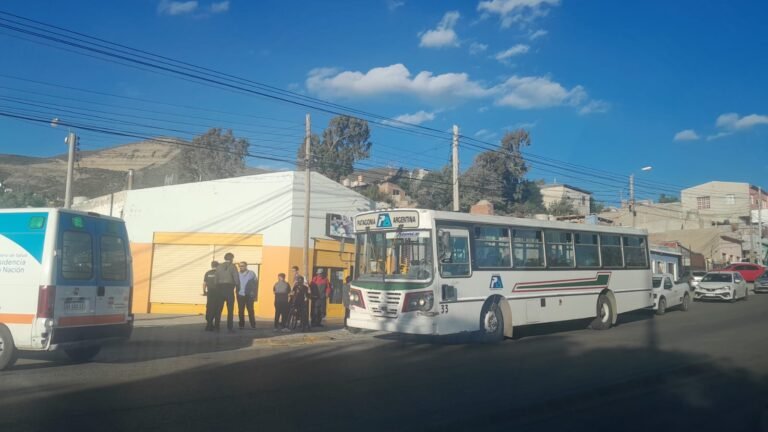 Tras descompensarse falleció una joven en un colectivo
