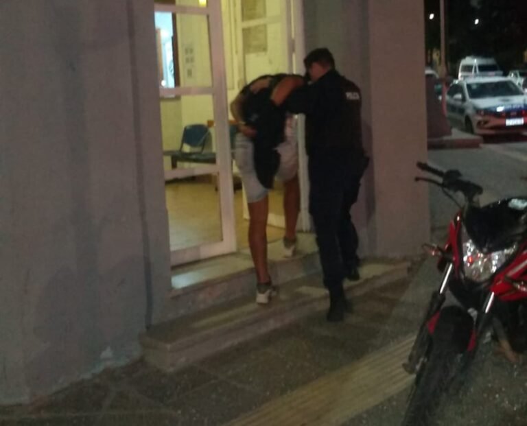 Terminaron tras las rejas al intentar sustraer la cubierta de un vehículo