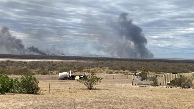 Trabajan en la contención del incendio generado en cercanías a Puerto Lobos