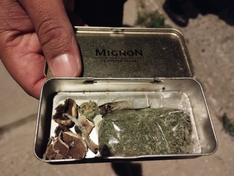 Quiso evadir un control y le secuestraron marihuana y hongos alucinógenos