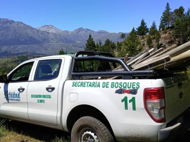 Impiden el avance de una ocupación ilegal en el Cerro Currumahuida