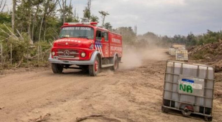 Dos procesados por el incendio que afectó 10 mil hectáreas de bosque fueguino
