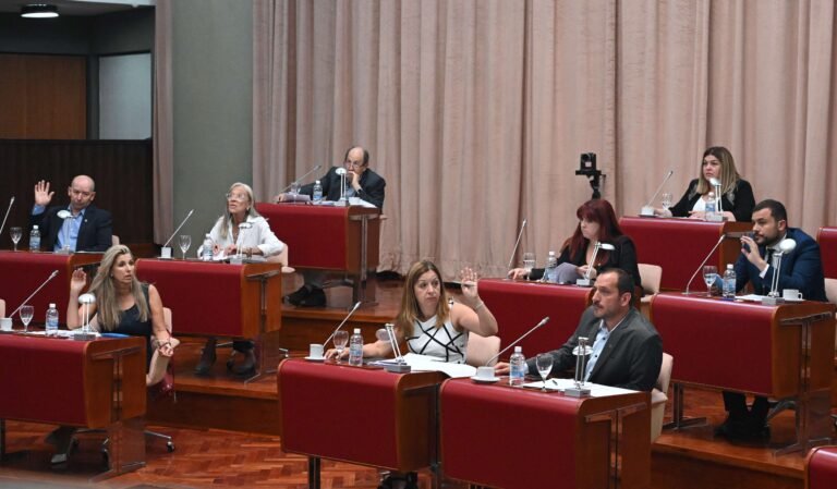 La Legislatura aprobó la Emergencia Económica