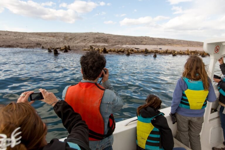 Excursiones náuticas en Camarones: fauna marina, leyendas y relatos históricos
