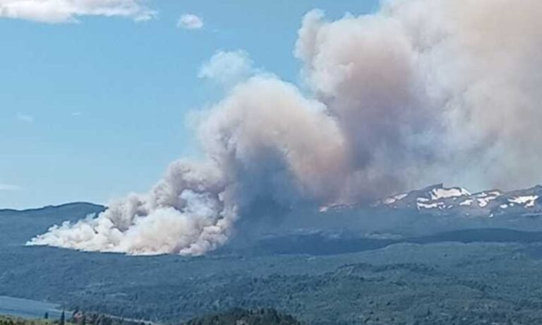 El viento complica las tareas de extinción del incendio en el Parque Nacional Los Alerces
