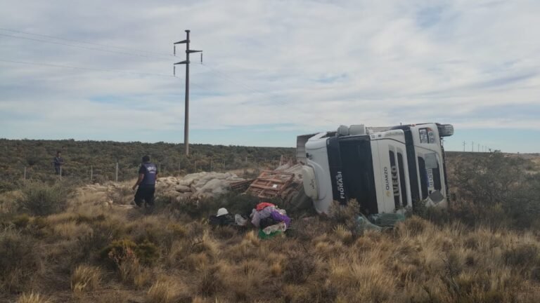 Se le cruzaron guanacos, los intentó esquivar y volcó