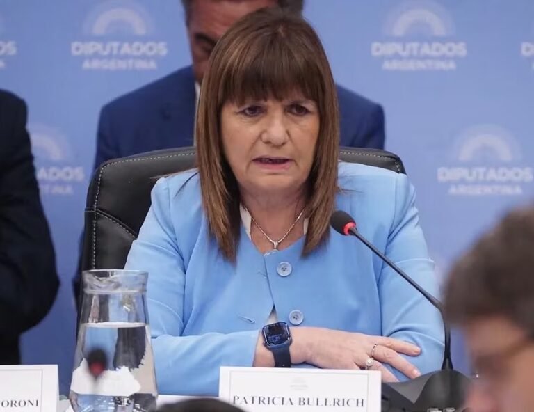 Bullrich le pidió a la Justicia que expulse del país a los extranjeros que cometen delitos