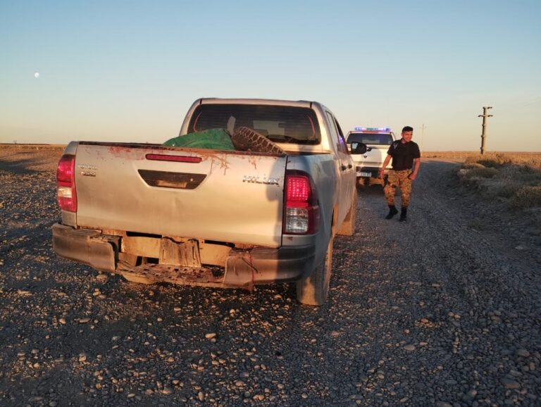 Lo descubrieron con un caballo faenado en la camioneta