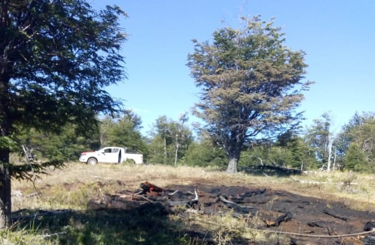 Lograron extinguir un incendio forestal en Río Pico