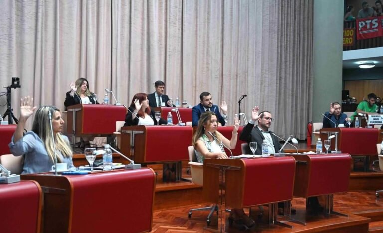 La Legislatura aprobó La Ley De Profesionalidad Docente