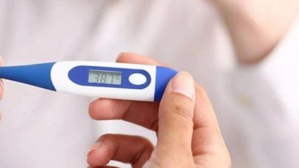 Un muerto por fiebre hemorrágica en Argentina: cómo se producen los contagios