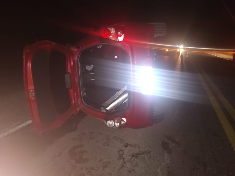 Dos vehículos colisionaron contra un caballo