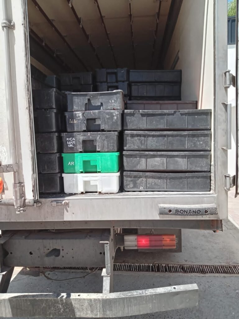 Decomisan más de 6000 kilos de langostinos que eran trasladados de forma ilegal