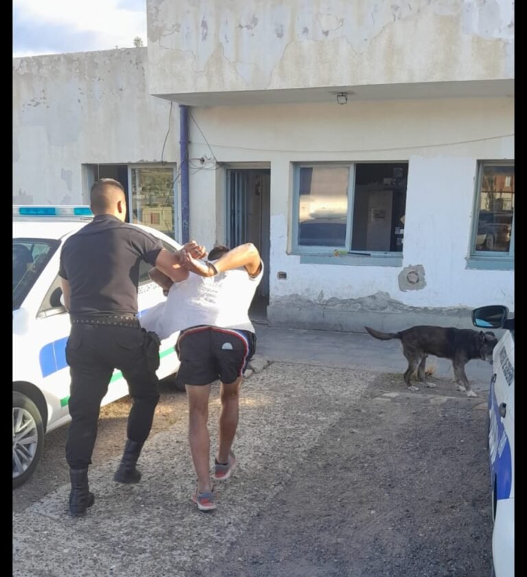 Terminó en una celda al querer robar dos vinos