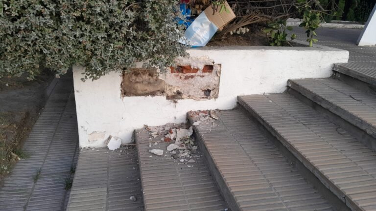 Intentó sustraer la placa de Mosconi y fue delatado