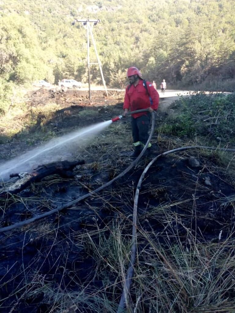Brigadistas extinguen incendio forestal en Carrenleufú