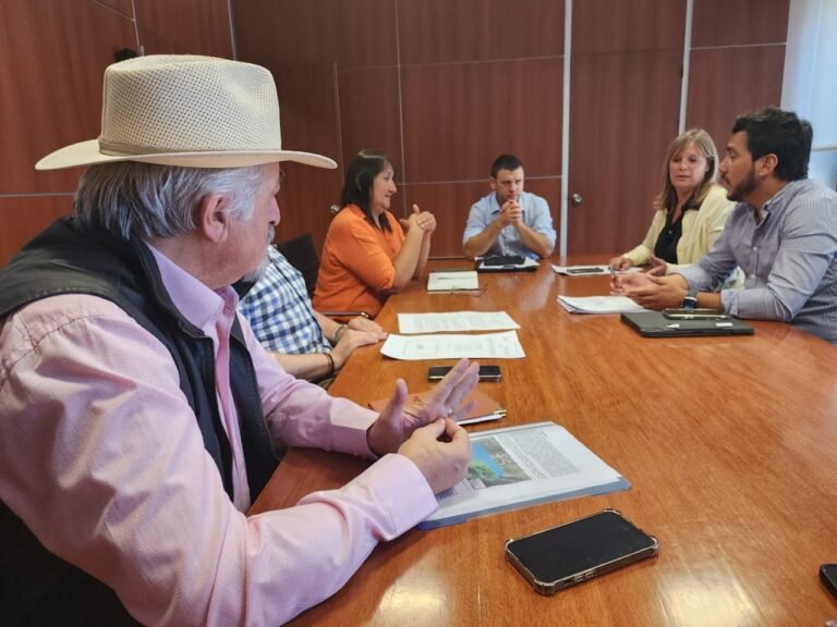 Othar se reunió con diputados por la Ley de Promoción Hidrocarburífera