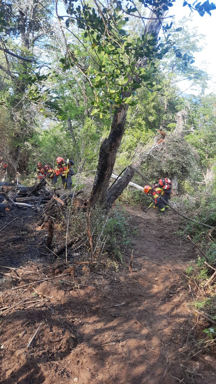 El incendio de “Los Alerces” sería intencional y ya consumió 700 hectáreas
