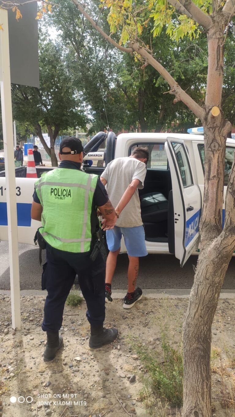 Preso por intentar robar carne vacuna en un supermercado