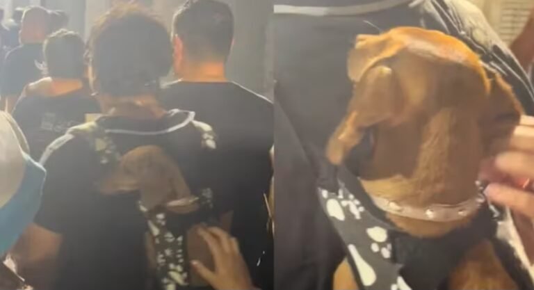 Llevó a su perro a ver a La Renga y generó revuelo en las redes sociales