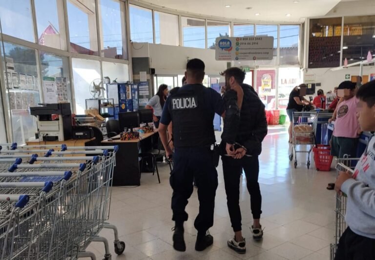 Detenido por robar una bondiola, una mayonesa y dos paquetes de oreos