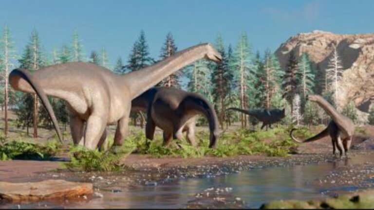 Hallan una nueva especie de dinosaurio herbívoro de cuello largo
