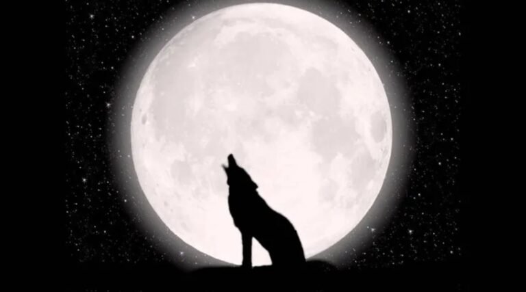 Llega la fascinante Luna Llena del Lobo de este 2024