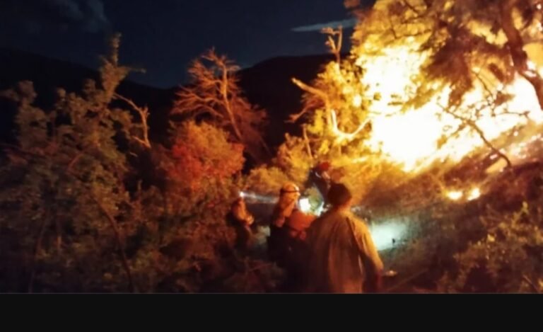 Combaten incendio en el Parque Nacional Los Alerces: se presume que fue intencional