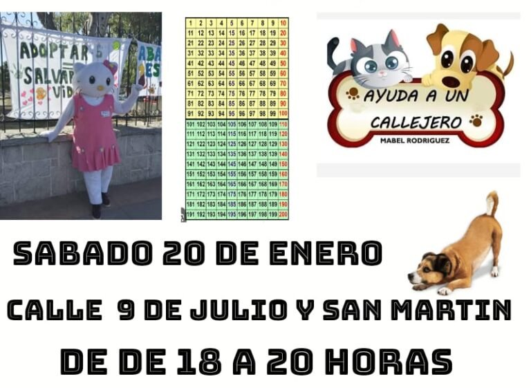 “Ayuda a un callejero”: Este sábado se realizará la jornada de adopción de perros y gatos