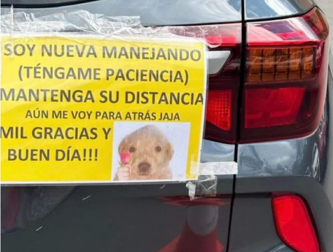 Una mujer colocó un cartel en el auto para aclarar que recién aprendió a manejar: “Ténganme paciencia”