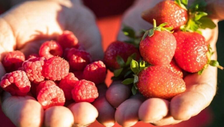 Provincia invita a disfrutar de seis Fiestas Populares este fin de semana