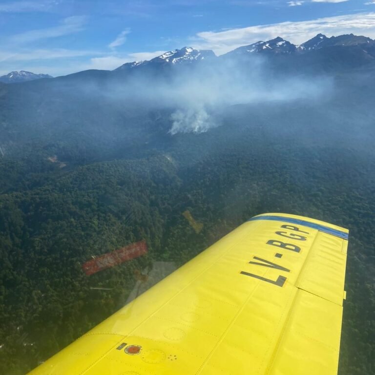 El incendio en Los Alerces consumió más de 65 hectáreas