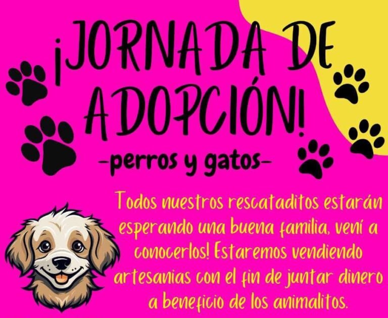 Este sábado habrá una jornada de adopción de perros y gatos en la Plaza de Las Naciones