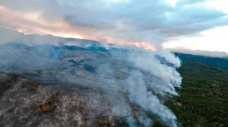 Se suman 30 brigadistas para combatir el voraz incendio en el Parque Nacional Los Alerces