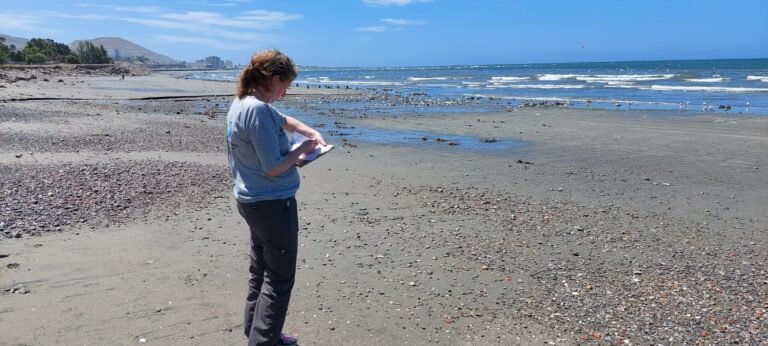 Monitorean la calidad del agua y la presencia de residuos en diferentes playas