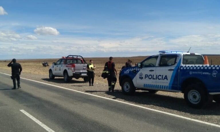 Un motociclista brasileño impactó con un guanaco en Ruta 3
