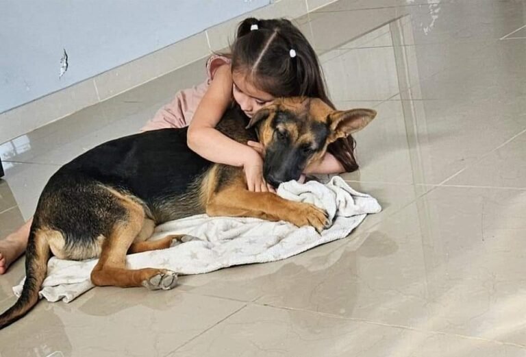Desesperada búsqueda de Nala: “Queremos que regrese a casa”