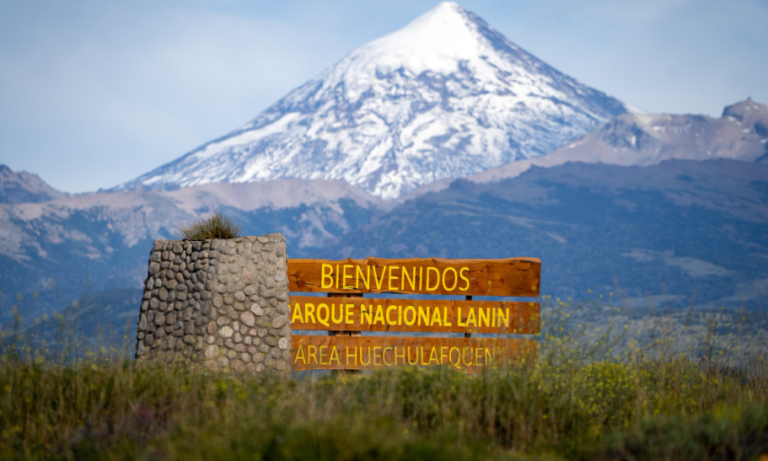 Conmoción en la Patagonia: encuentran restos humanos en el Parque Lanín