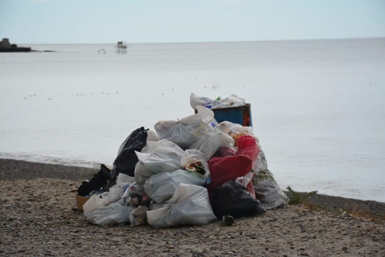 Vecinos de zona norte expresan preocupación por el estado de las playas locales