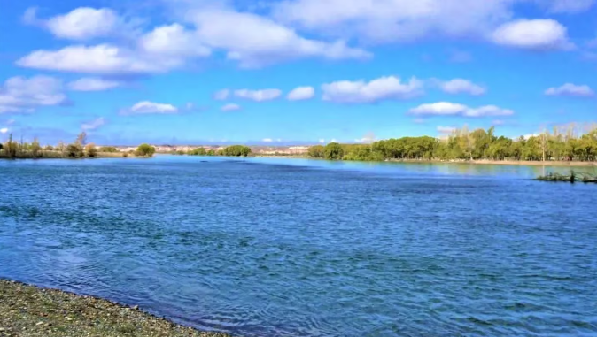 Tragedia en Neuquén: una maestra murió ahogada mientras intentaba rescatar a su hijo