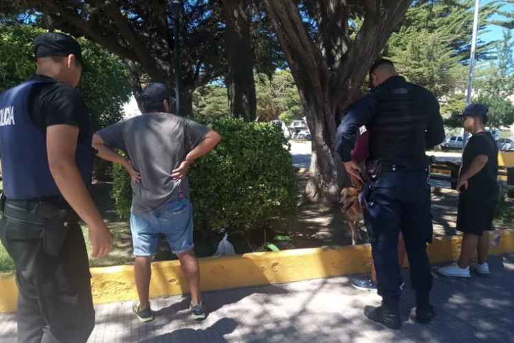 Intentaron robar dos placas de bronce del monumento a San Martín