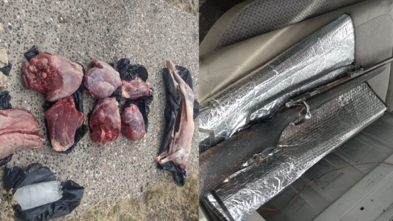 Los atraparon con un cordero faenado y guanacos despostados