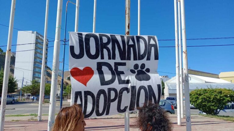 Este sábado realizaran una jornada de adopcion de perros y gatos