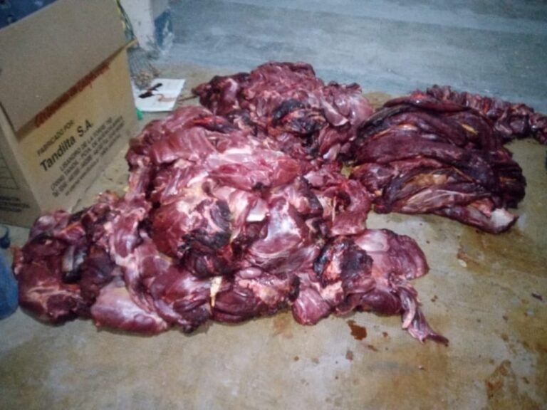 Los interceptaron en la ruta y llevaban 5 bolsas con carne de guanaco