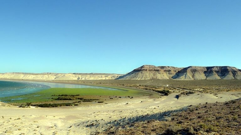 Encontraron bolsas con restos óseos en una playa de Chubut
