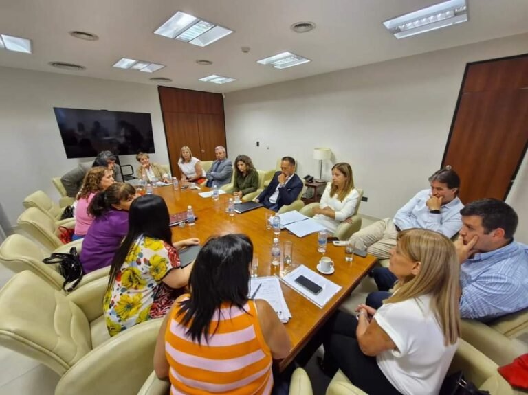Reunión con diputados ante la crítica situación de los Juzgados de Familia de Comodoro