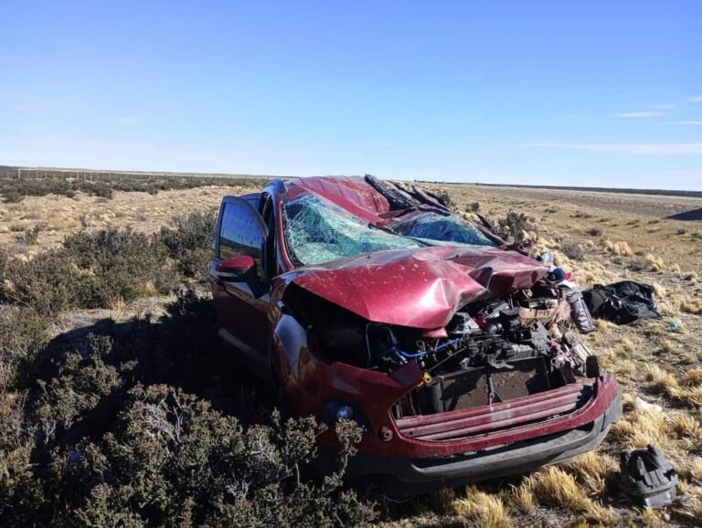 Violento vuelco al impactar con un guanaco
