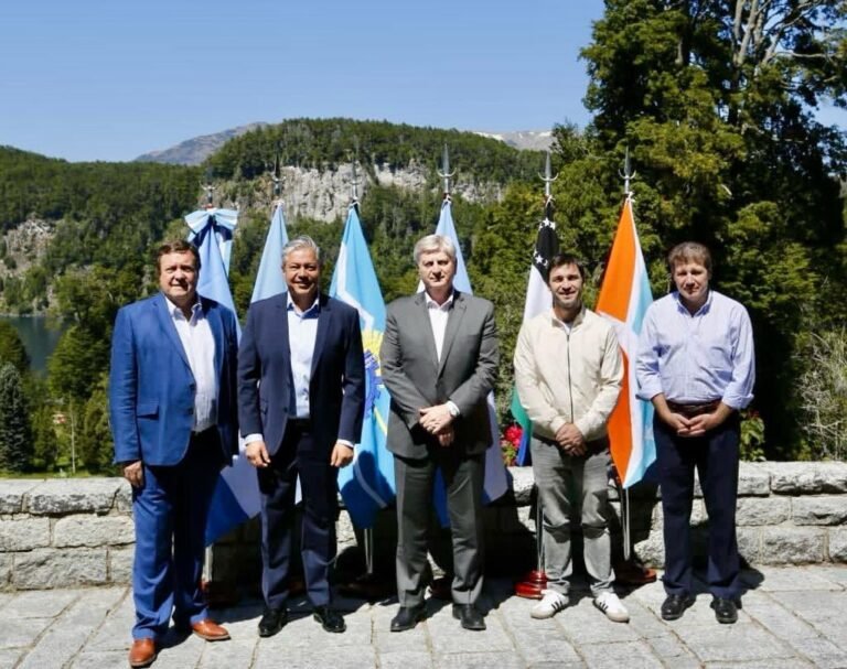 Gobernadores patagónicos crearán una empresa de energía propia