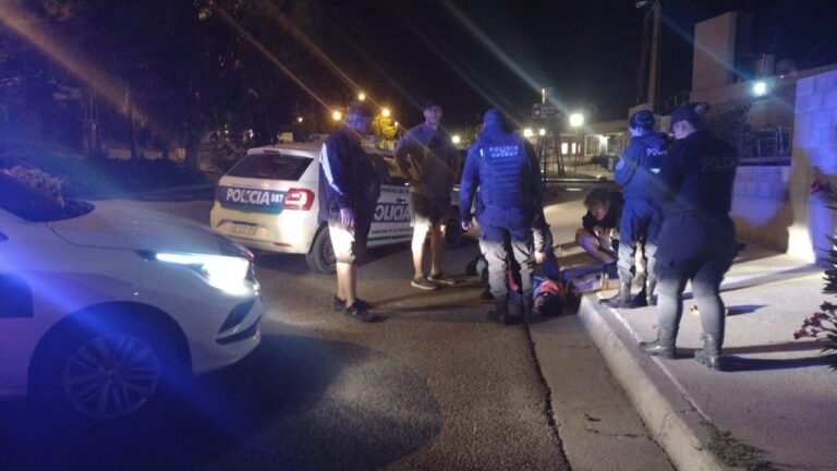 Demoró y golpeó a uno de los ladrones hasta que llegó la Policía